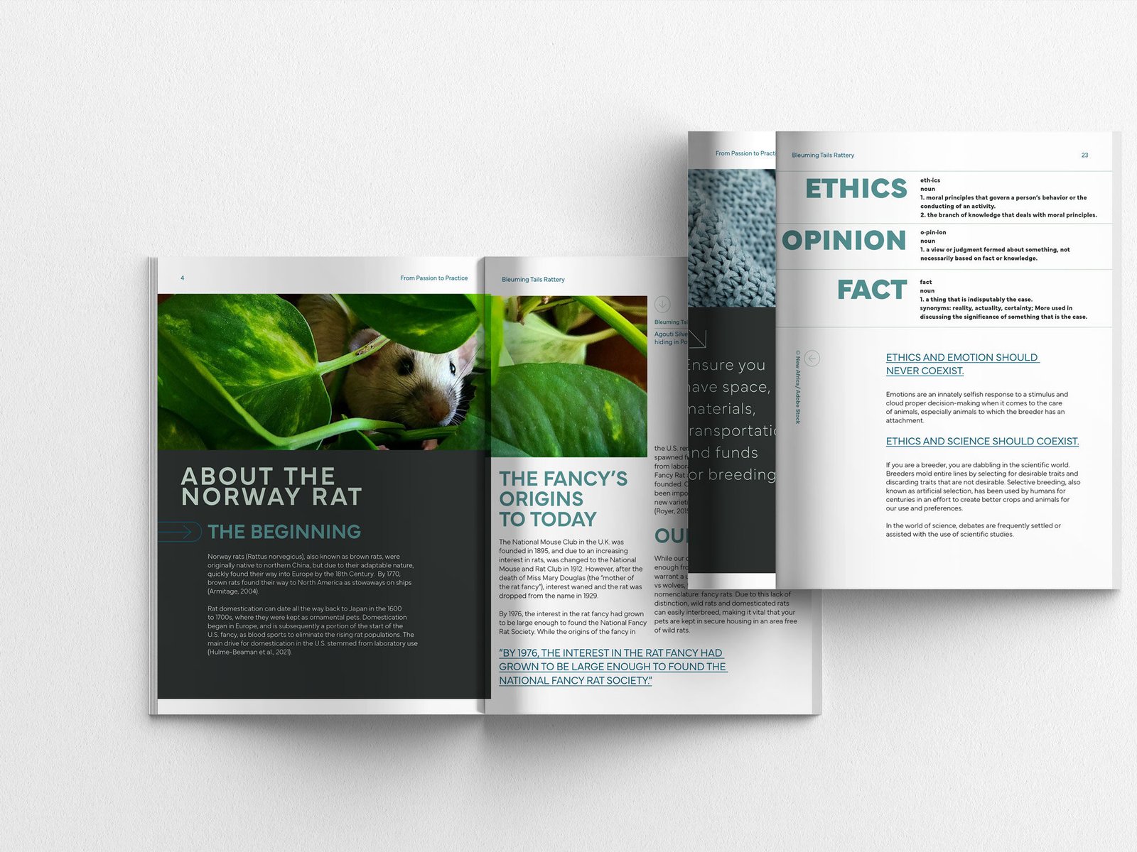 Brochure discussing the Norway rat's history, breeding ethics, and care guidelines for enthusiasts and breeders.